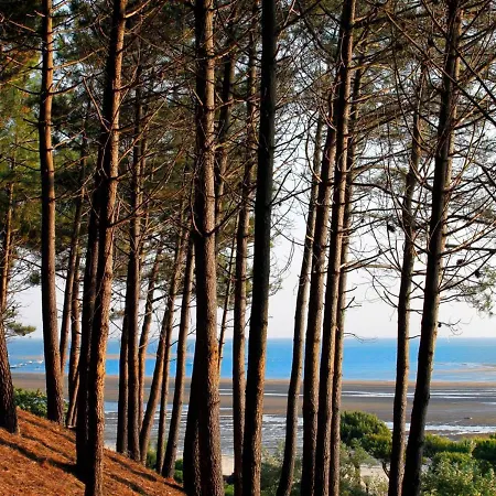 Appartement Avec Terrasse Et Parking A - Fr-1-420-138 Arcachon